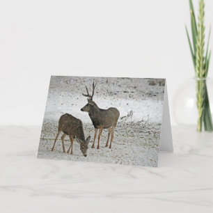 Mule Deer Buck and Dode Kaart