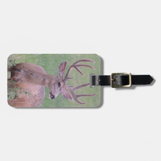 Mule Deer Buck Bagagelabel (Voorkant horizontaal)