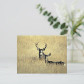 Mule Deer Buck - Doe Briefkaart (Staand voorkant)
