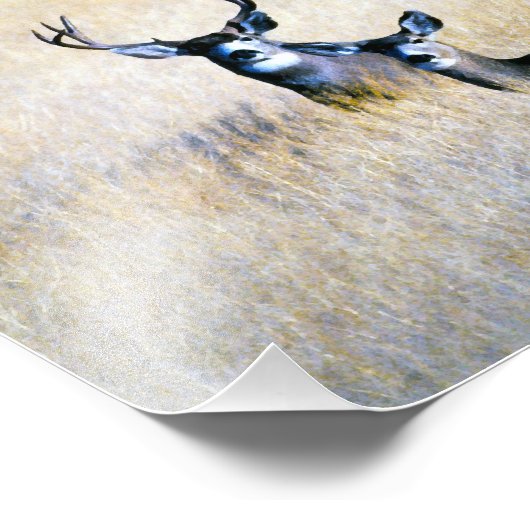 Mule Deer Buck & Doe Digital Fine Art Print Foto Afdruk (Hoek)