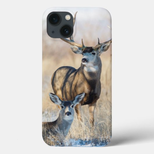 Mule Deer Buck en Doe Case-Mate iPhone Case (Achterkant)