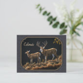 Mule Deer Buck en Doe Grey Custom Briefkaart (Staand voorkant)