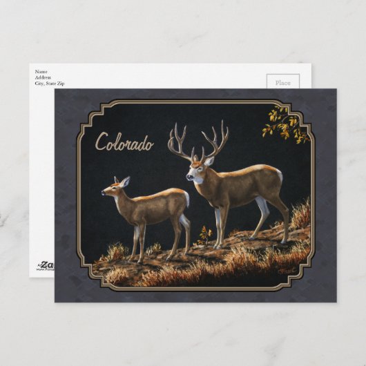 Mule Deer Buck en Doe Grey Custom Briefkaart (Voorkant / Achterkant)