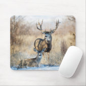 Mule Deer Buck en Doe Muismat (Met muis)