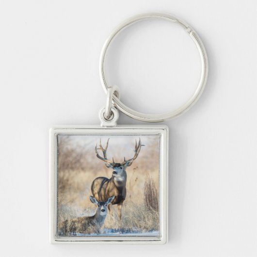 Mule Deer Buck en Doe Sleutelhanger (Voorkant)