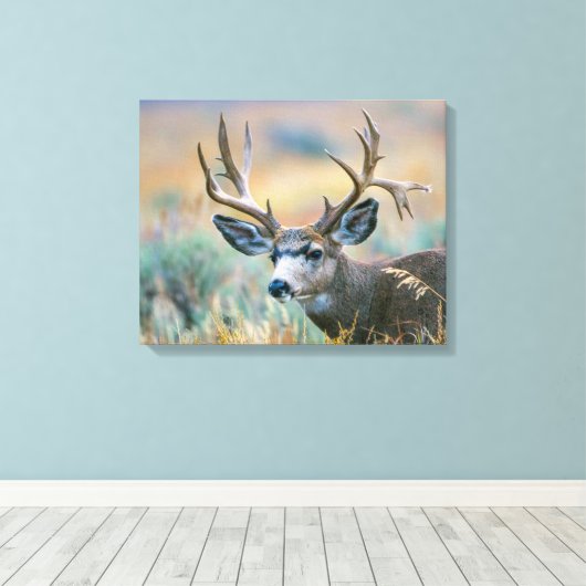 Mule Deer Buck | Nationaal park Grand Teton Wyomin Canvas Afdruk (Insitu (Houten vloer))