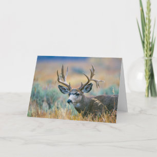 Mule Deer Buck Nationaal park Grand Teton Wyomin Kaart