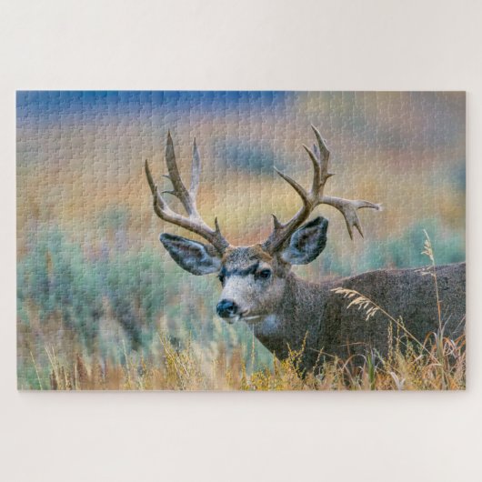 Mule Deer Buck | Nationaal park Grand Teton Wyomin Legpuzzel (Horizontaal)
