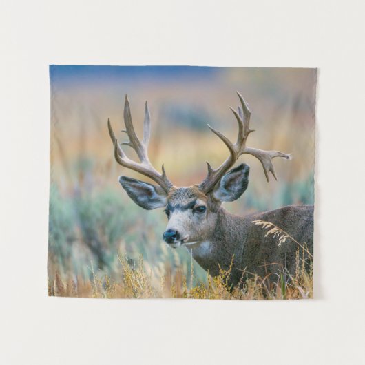 Mule Deer Buck | Nationaal park Grand Teton Wyomin Wandkleed (Voorkant (horizontaal))