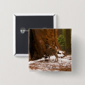 Mule Deer Button (Voorkant /achterkant)