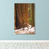 Mule Deer Canvas Afdruk (Insitu (Houten vloer))