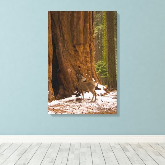 Mule Deer Canvas Afdruk (Insitu (Houten vloer))
