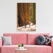 Mule Deer Canvas Afdruk (Insitu (Woonkamer))