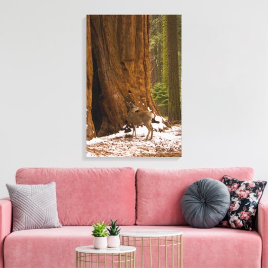 Mule Deer Canvas Afdruk (Insitu (Woonkamer))