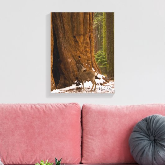 Mule Deer Canvas Afdruk (Insitu (Woonkamer))