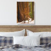 Mule Deer Canvas Afdruk (Insitu (Slaapkamer))