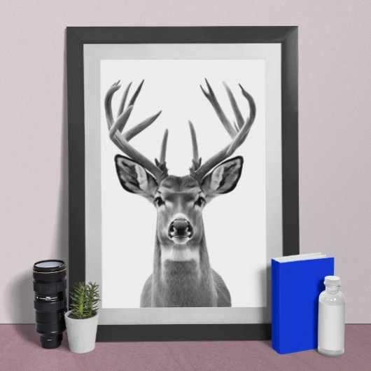 Mule Deer Desert Animal Portret Poster