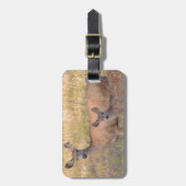 Mule Deer Doe en Fawn Bagagelabel (Voorkant verticaal)