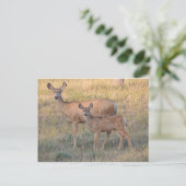 Mule Deer Doe en Fawn Briefkaart (Staand voorkant)