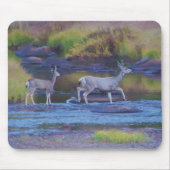 Mule Deer Doe en Fawn Muismat (Voorkant)