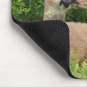 Mule Deer Doe met Fawn Muismat (Hoek)