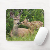 Mule Deer Doe met Fawn Muismat (Met muis)