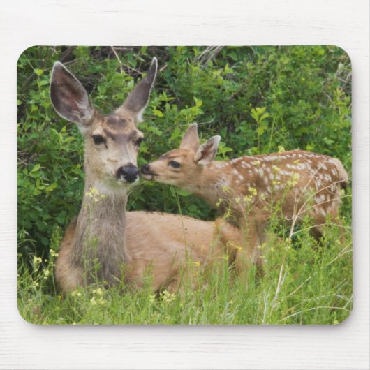 Mule Deer Doe met Fawn Muismat (Voorkant)