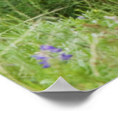 Mule Deer Doe met Fawn Poster (Hoek)