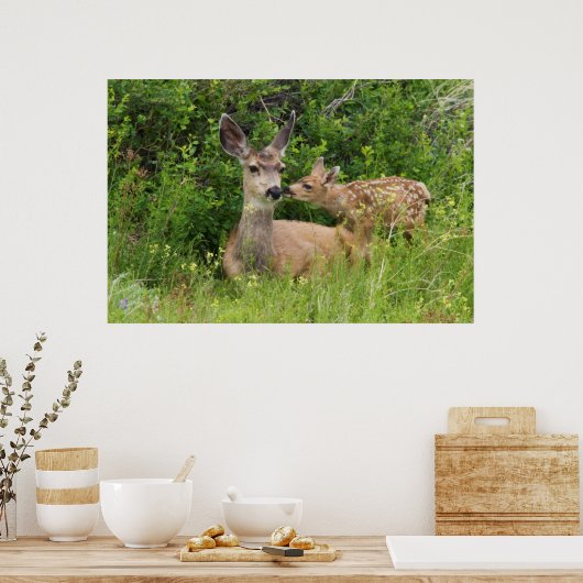 Mule Deer Doe met Fawn Poster (Keuken)