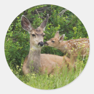 Mule Deer Doe met Fawn Ronde Sticker