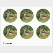 Mule Deer Doe met Fawn Ronde Sticker (Vel)