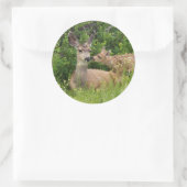 Mule Deer Doe met Fawn Ronde Sticker (Tas)