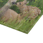 Mule Deer Doe met Fawn Snijplank (Hoek)