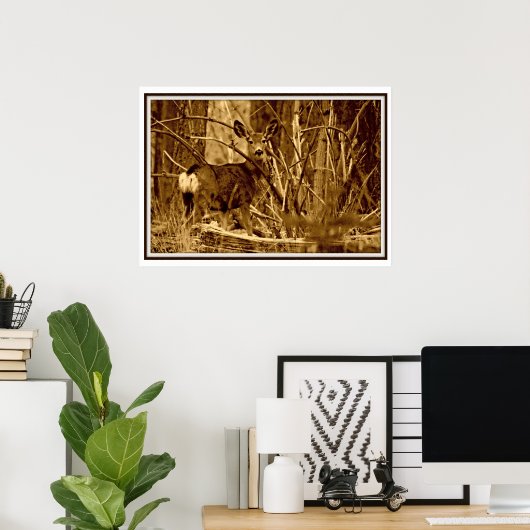 Mule Deer: Doe Poster (Thuiskantoor)