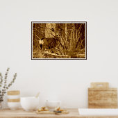 Mule Deer: Doe Poster (Keuken)