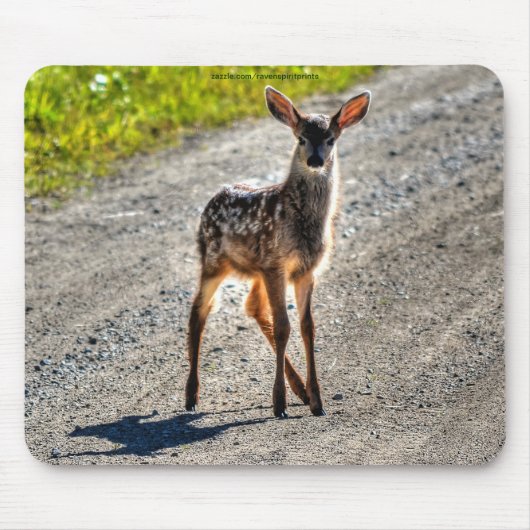 Mule Deer Fawn Baby Animal Wildlife Foto Muismat (Voorkant)