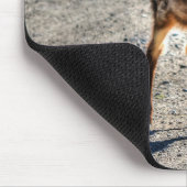 Mule Deer Fawn Baby Animal Wildlife Foto Muismat (Hoek)