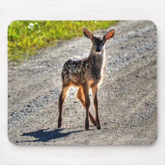 Mule Deer Fawn Baby Animal Wildlife Foto Muismat (Voorkant)