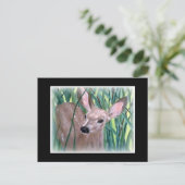 Mule Deer Fawn Briefkaart (Staand voorkant)