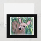 Mule Deer Fawn Briefkaart (Voorkant / Achterkant)