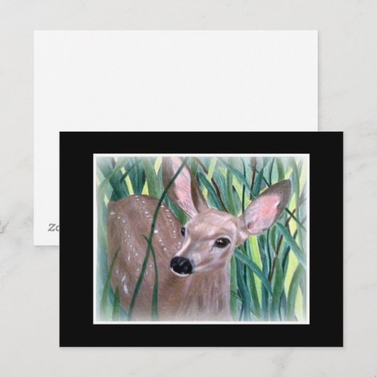 Mule Deer Fawn Briefkaart (Voorkant / Achterkant)