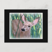 Mule Deer Fawn Briefkaart (Voorkant)