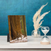 Mule Deer Fotoplaat (Zijkant)