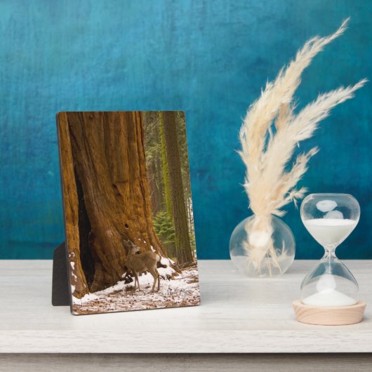 Mule Deer Fotoplaat (Zijkant)