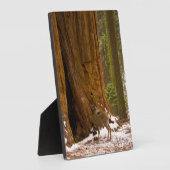 Mule Deer Fotoplaat (Zijkant)