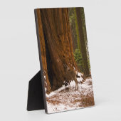 Mule Deer Fotoplaat (Zijkant)