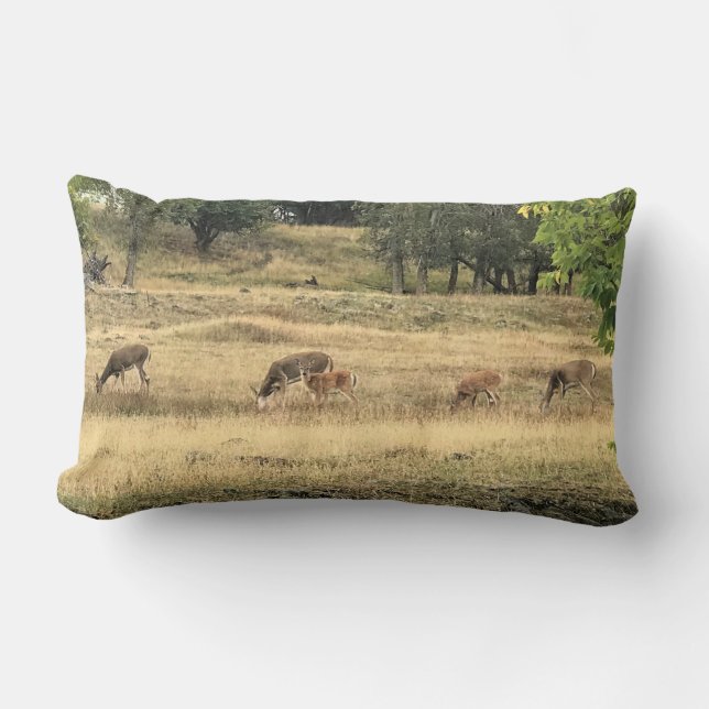 Mule Deer in a Field, Joseph, Oregon Kussen (Voorkant)