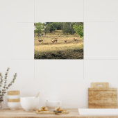 Mule Deer in a Field, Joseph, Oregon Poster (Keuken)