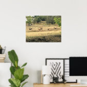 Mule Deer in a Field, Joseph, Oregon Poster (Thuiskantoor)