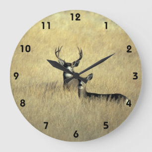 Mule Deer in California Wall Clock Grote Klok